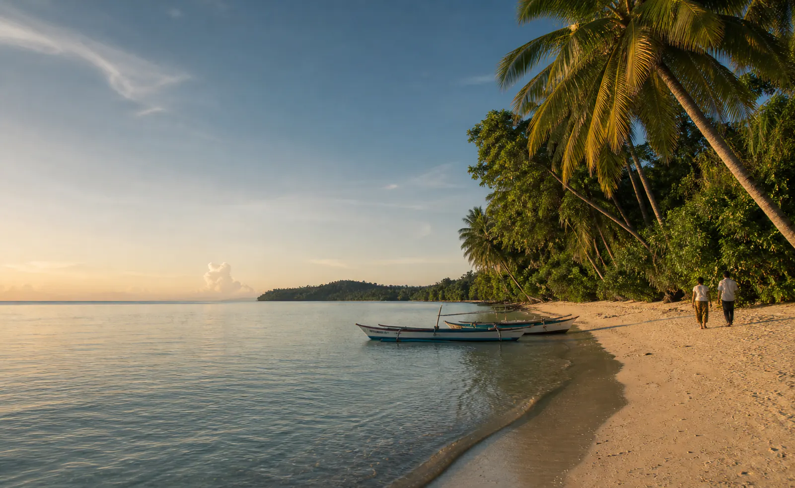White sand shore with traditional outrigger boats beneath coconut palms